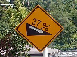 z37%