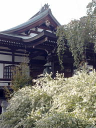 大師