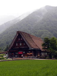 雨