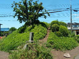 登山道