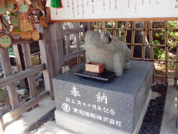 青蛙