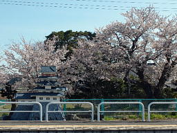 城
