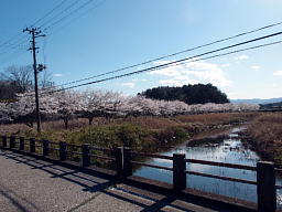 天王山橋