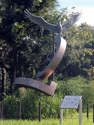 朱雀