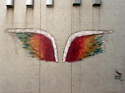 Wings