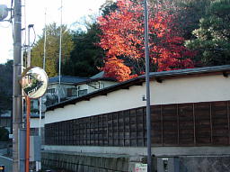 gt