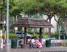 Bus Stop