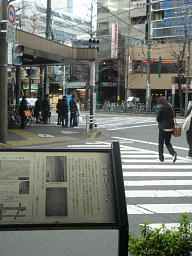 牡