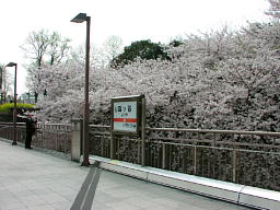 lbJw