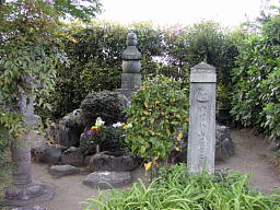 揊