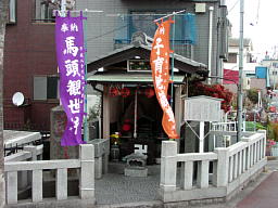 nEnωE