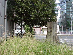 ˂炵