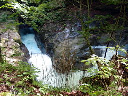 SW
